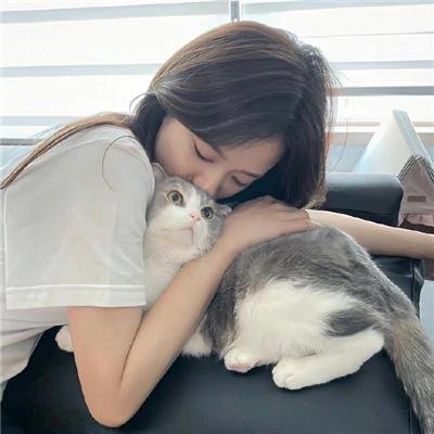 献给检察官的玫瑰花